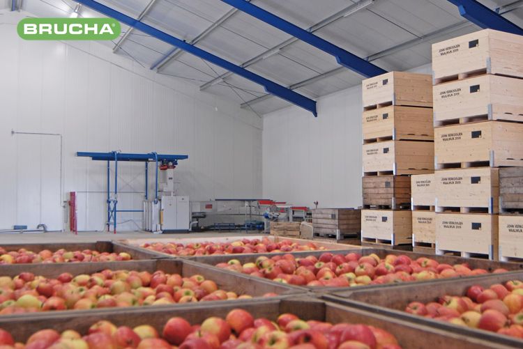 BRUCHA Kühlhalle mit Äpfel im Vordergrund